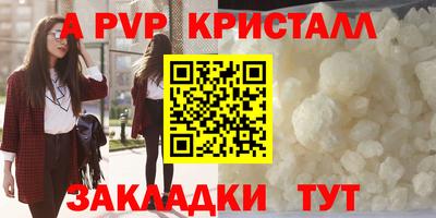 стаф Будённовск