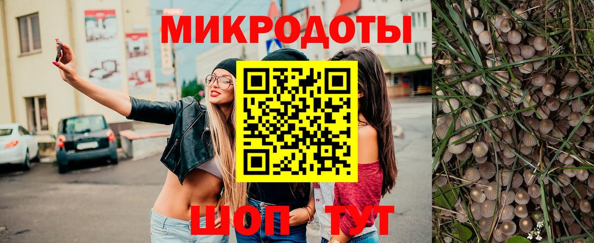 Галлюциногенные грибы Cubensis Арсеньев