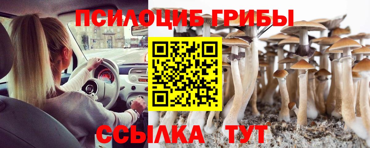что такое   Вход с VPN  Арсеньев  Псилоцибиновые грибы ЛСД 